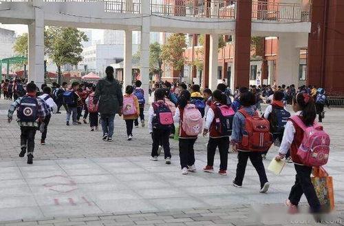 最新爆料曹县汇文小学,揭开校园安全与教育监管的隐忧  第2张